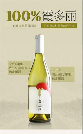  推荐 | 贺兰红霞多丽干白葡萄酒 