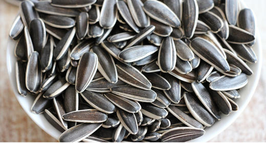 【f】散称瓜子干炒 400g
