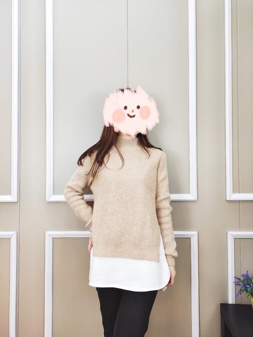 上女毛衣Z-9720 商品图0