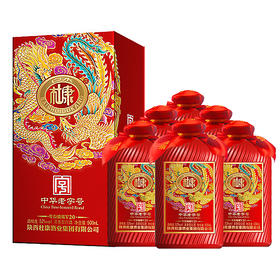 白水杜康年份臻藏V20