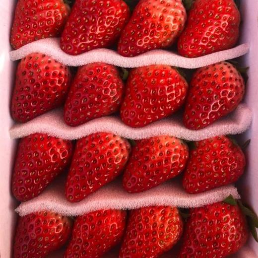 四川巧克力草莓