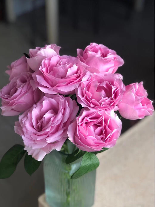 方德娇兰玫瑰能开炸,渐变色的颜色外层淡粉芯芯深粉一束10支下单送配