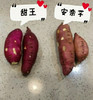 红薯（甜王1988）5斤/箱 商品缩略图4