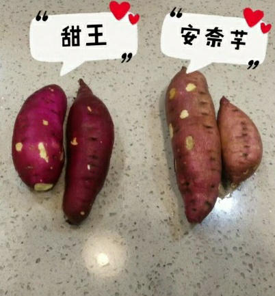 红薯（甜王1988）5斤/箱 商品图4