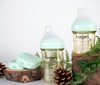 新加坡Hegen婴儿多功能PPSU奶瓶礼盒 商品缩略图5