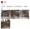 彩图版《芥子园画谱》赠唐伯虎十才子图一幅 商品缩略图4