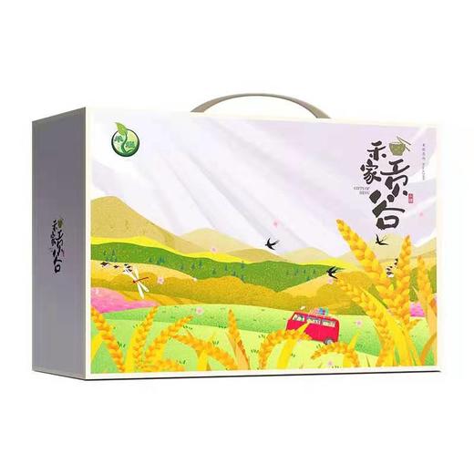禾家贡谷-4356款 商品图3