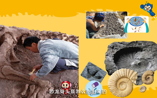 恐龙骨头是怎么挖出来的？ 商品图0