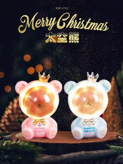 太空熊 商品图3