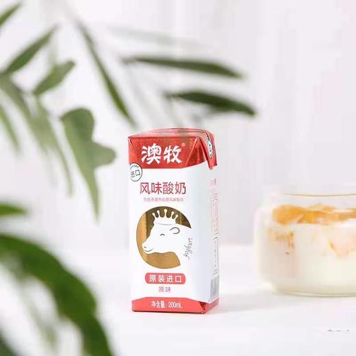 澳牧风味酸奶 商品图2