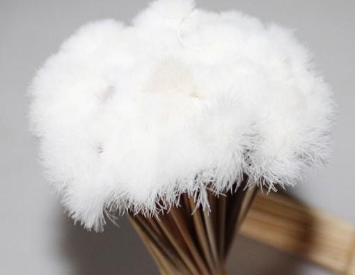 纯手工采耳耳毛棒兔毛 鹅毛棒 洁耳工具 专业采耳足浴桑拿用品 商品图2