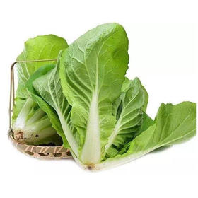 【百汇到家】快菜