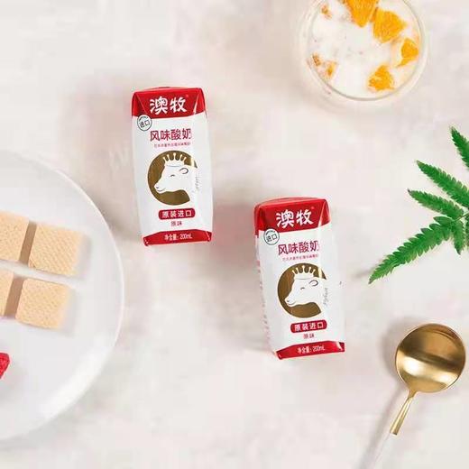 澳牧风味酸奶 商品图1