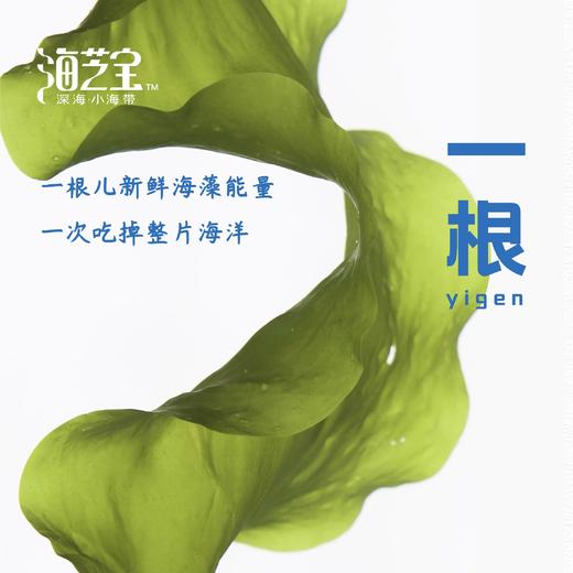 海芝宝一根儿小海带 商品图1