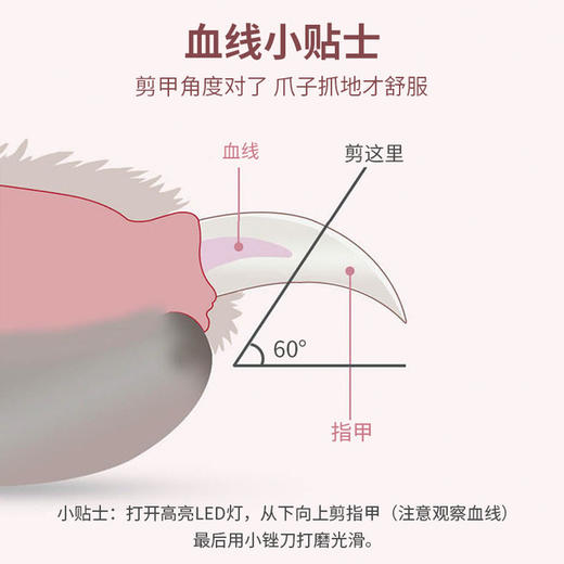 猫咪指甲剪磨甲器狗狗指甲剪宠物指甲钳led灯光防血位修指甲用品 商品图3