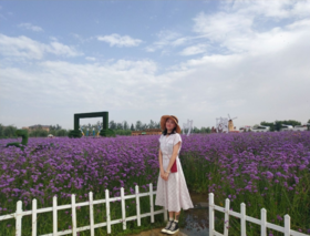 经典复古版型，很漂亮，很喜欢