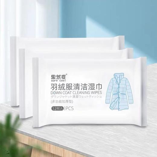 羽绒服清洁湿巾免清洗神器去污免水洗擦拭干洗清洁湿纸巾干洗剂 商品图7