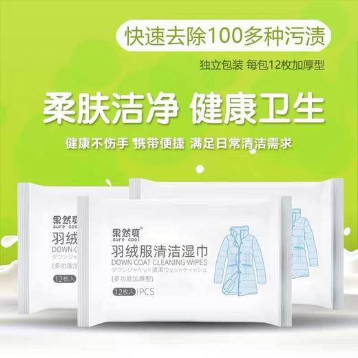羽绒服清洁湿巾免清洗神器去污免水洗擦拭干洗清洁湿纸巾干洗剂 商品图3