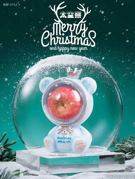 太空熊 商品图0