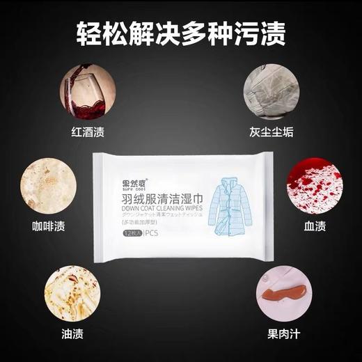 羽绒服清洁湿巾免清洗神器去污免水洗擦拭干洗清洁湿纸巾干洗剂 商品图5