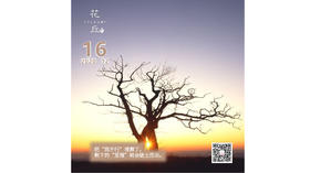 【花丘•心语】