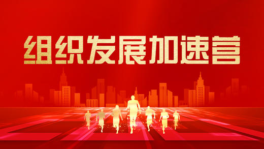 组织诊断：定义、流程和关键任务 商品图0