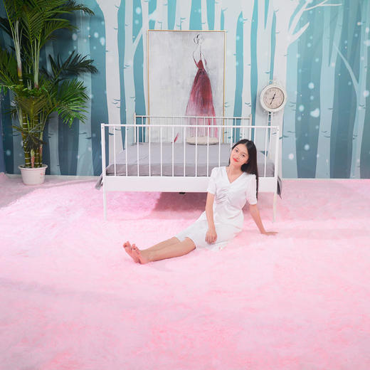 加厚地毯卧室客厅茶几床边飘窗榻榻米房间满铺少女心毛毯脚垫地垫 商品图1