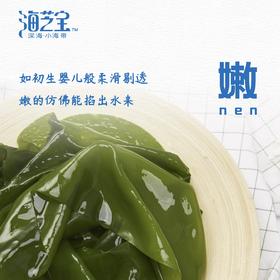海芝宝一根儿小海带