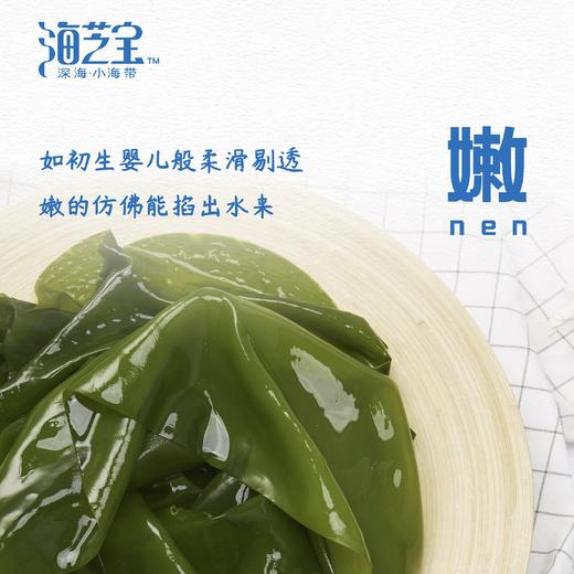 海芝宝一根儿小海带 商品图0