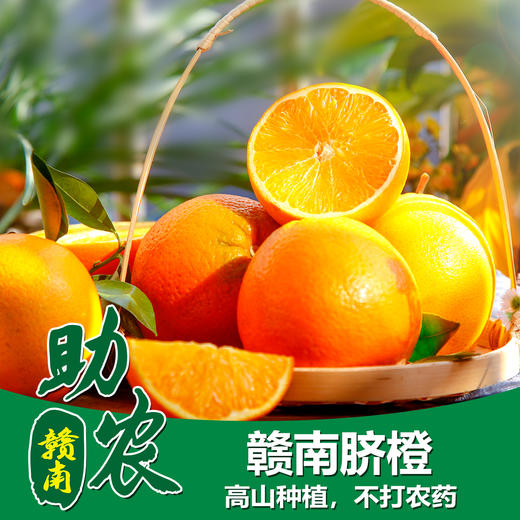 江西赣南脐橙5斤 商品图0
