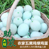 大理农家五黑鸡绿鸡蛋（30个） 商品缩略图0