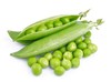 10-麦豆250克 商品缩略图1