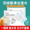羽绒服清洁湿巾免清洗神器去污免水洗擦拭干洗清洁湿纸巾干洗剂 商品缩略图1