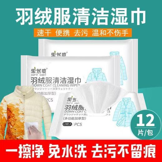 羽绒服清洁湿巾免清洗神器去污免水洗擦拭干洗清洁湿纸巾干洗剂 商品图1