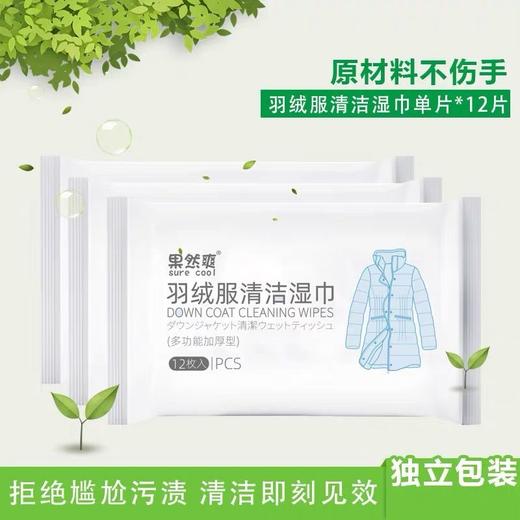 羽绒服清洁湿巾免清洗神器去污免水洗擦拭干洗清洁湿纸巾干洗剂 商品图2