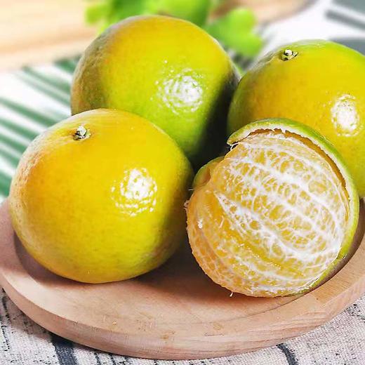 广西武鸣皇帝柑 商品图2