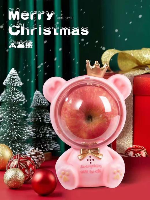 太空熊 商品图4