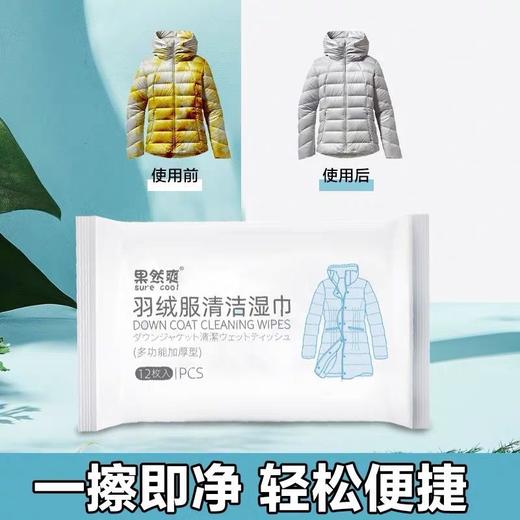 羽绒服清洁湿巾免清洗神器去污免水洗擦拭干洗清洁湿纸巾干洗剂 商品图6