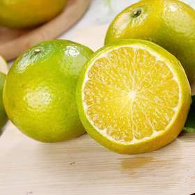 广西武鸣皇帝柑