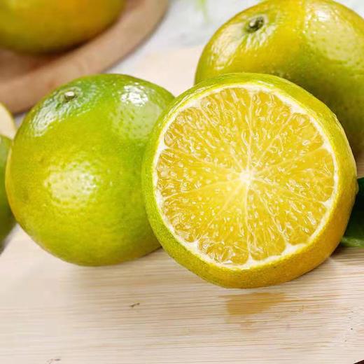 广西武鸣皇帝柑 商品图0