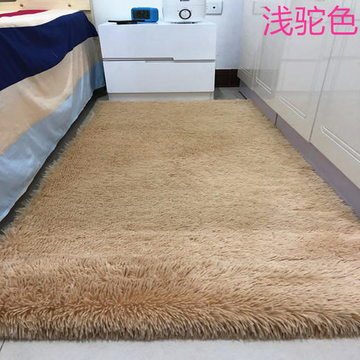 加厚地毯卧室客厅茶几床边飘窗榻榻米房间满铺少女心毛毯脚垫地垫 商品图4