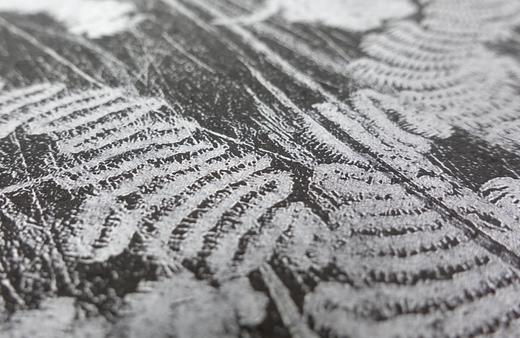 朱赢椿 版画《虫子文 1》2020 商品图1