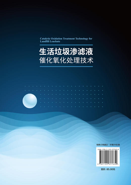 生活垃圾渗滤液催化氧化处理技术 商品图4