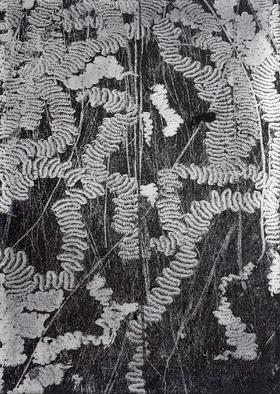 朱赢椿 版画《虫子文 1》2020