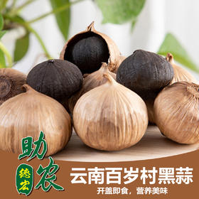 云南百岁村特级独头黑蒜