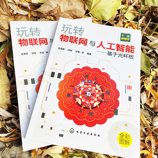 玩转物联网与人工智能 基于光环板 王克伟 范伟 于敏 编程人工智能和物联网开发思路及技巧 中小学生STEAM教育青少年创客书籍 商品图4