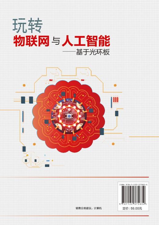 玩转物联网与人工智能 基于光环板 王克伟 范伟 于敏 编程人工智能和物联网开发思路及技巧 中小学生STEAM教育青少年创客书籍 商品图1