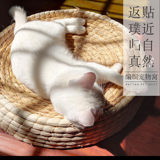 草编 猫窝垫 鸡窝 大号猫抓板 猫玩具兔窝鹅窝30--50厘米 商品图0