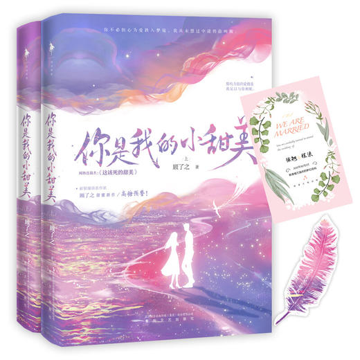 新书预售 你是我的小甜美 顾了之著 青春文学爱情情感小说书籍 商品图2
