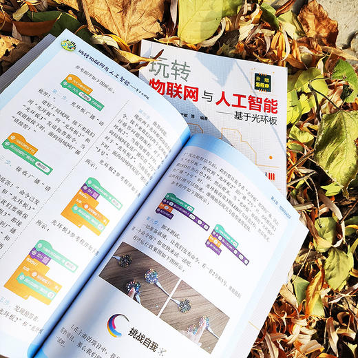 玩转物联网与人工智能 基于光环板 王克伟 范伟 于敏 编程人工智能和物联网开发思路及技巧 中小学生STEAM教育青少年创客书籍 商品图3